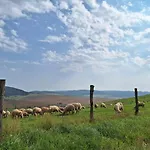 Zaky Vrbov